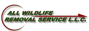 All Wildlife Removal Services