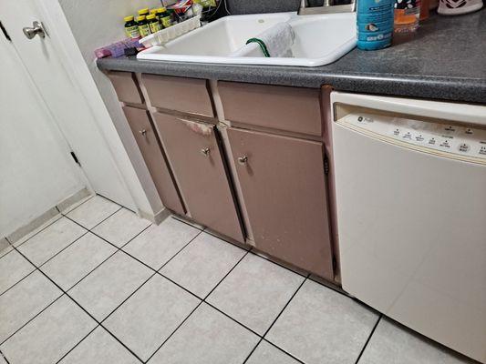 Kitchen Remodel (Before)