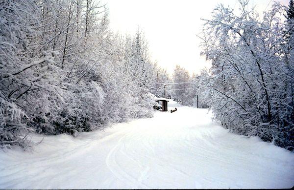 Road down towards the Red Garter Saloon, Dec. 1977.