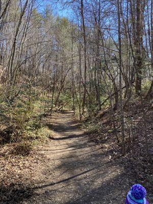 Bent Creek Experimental Forest