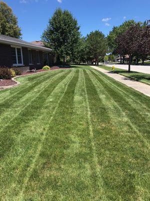 Our goal is to have the best looking grass on the block.