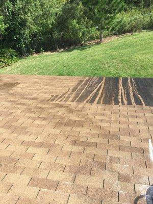 Asphalt shingle roof before pressure washing to remove algae/mildew and grime.