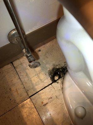 Black mold around the other side of the base of the toilet