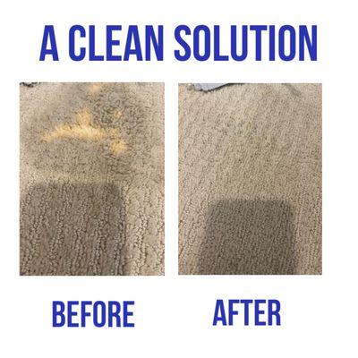 Bleach spot repair performed by color matching the carpet with permanent dyes.