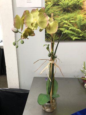 Silk orchid I purchased