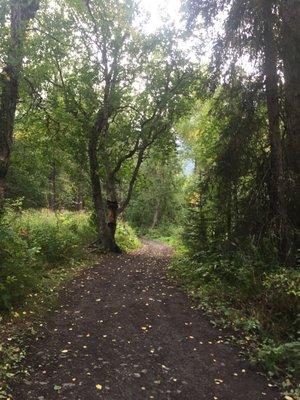 Trail, nice Visitor's Center too