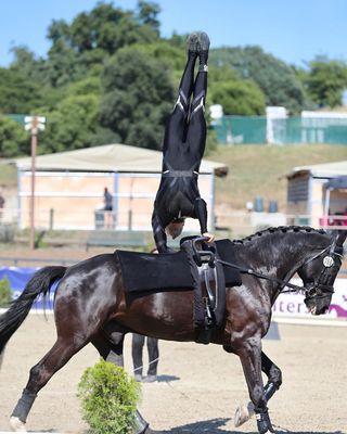 Shadow Hills Equestrian Center