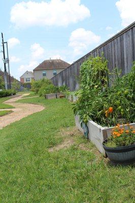 Garden & Walking Path