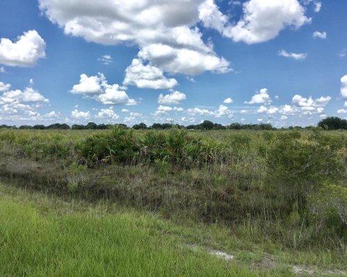 Okeechobee Vacant Land and Lots for Sale