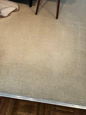 Another angle of after they cleaned my carpet! Do NOT USE THEM! I zoomed in to show you! Save yourself some stress and go with someone else