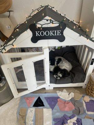 Kookie's house