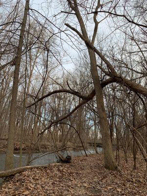 Dinosaur Hill Nature Preserve