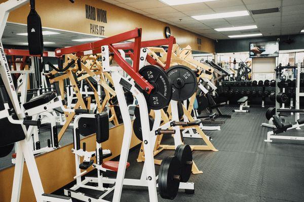 Hammer Strength plate loaded machines down the wall.