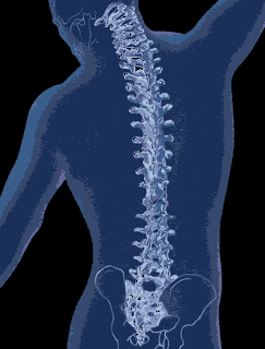 Spine Health