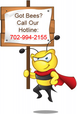 Las Vegas Bee Removal