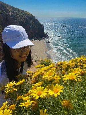 A hiker enjoys stunning wildflowers above the waves! We guarantee to show you the best hiking trails and most beautiful locations in Malibu.