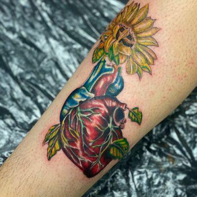 Anatomical heart with sunflower