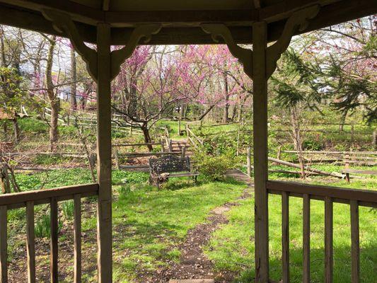 View from the gazebo.