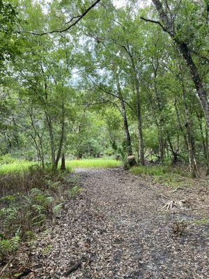 Town 'n Country Nature Preserve