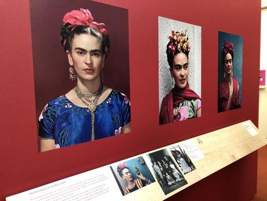 Frida Kahlo exhibit. Go!!