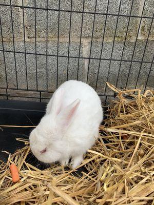 This cutie loves at Brookside Nursery