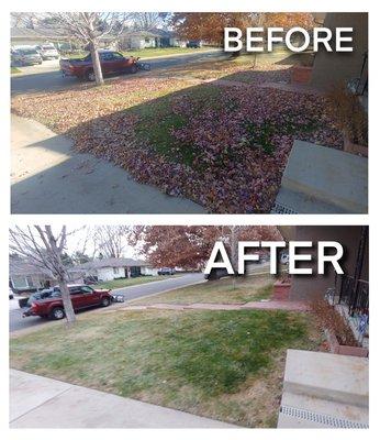 spring fall leaf cleanout disposal raking