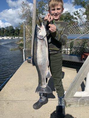 King Salmon