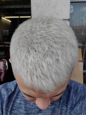 Extreme platinum/silver from super pitch black hair