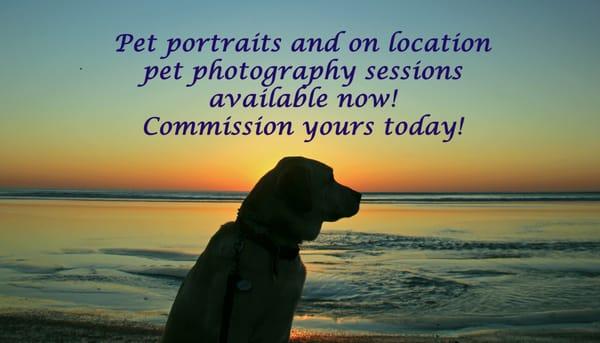 Pet Portraits and "on location" pet photography sessions now available!