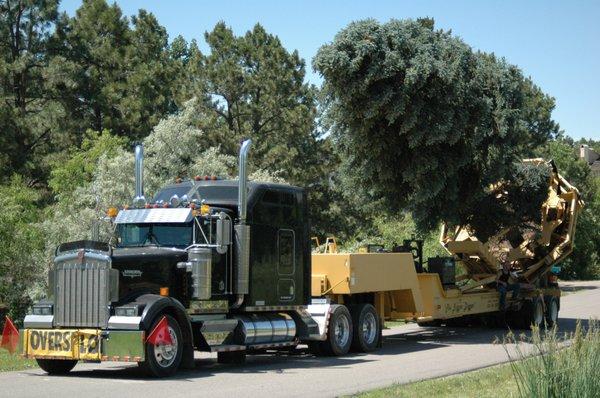 Colorado Tree Spade Inc.