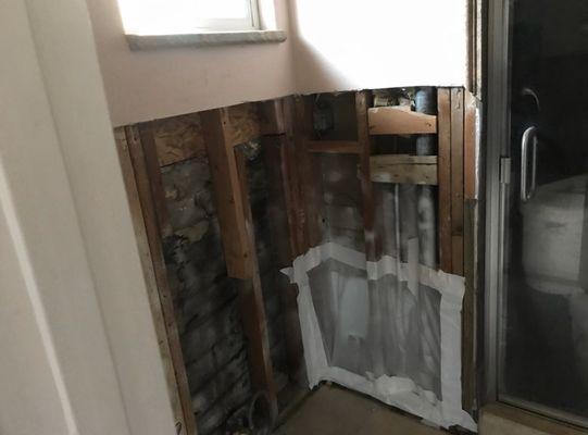 Second bathroom completely destroyed by water damage.