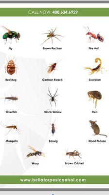 General pests/most common. Full coverage.