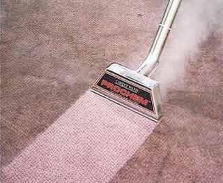 Star-Brite Carpet Care