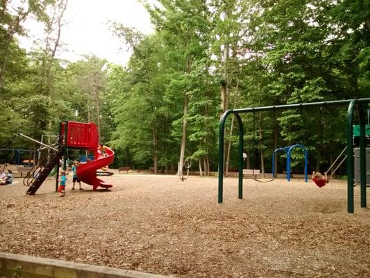 Swings and a tall slide