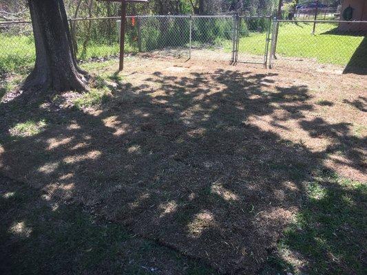 Sewer repair with sod replacement, gate, and fence repair.