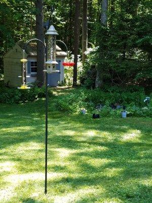 WBU Advance Pole System with a Humming bird feeder, a Finch feeder and the 'Eliminator' squirrel-proof feeder