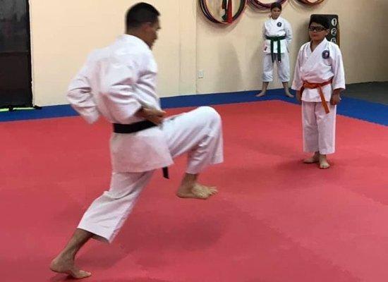 Sensei Arevalo demonstrating Kata Jion