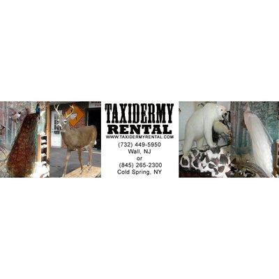 Wildlife Taxidermy & Rental