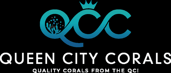 Queen City Corals