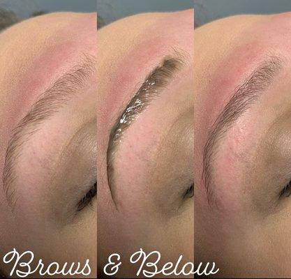 Brow Wax & Tint $40