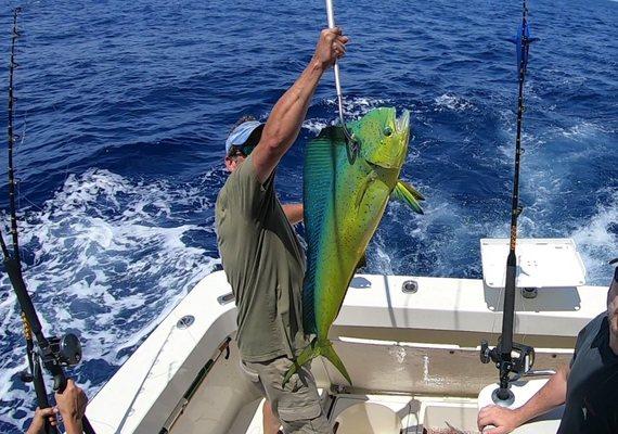 Charleston Yacht & Fishing Charters