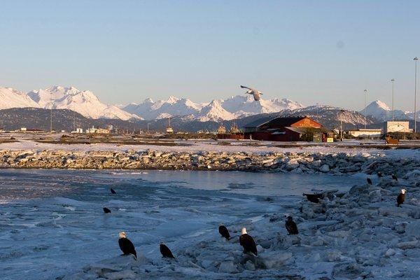 Alaska Family Motorhomes