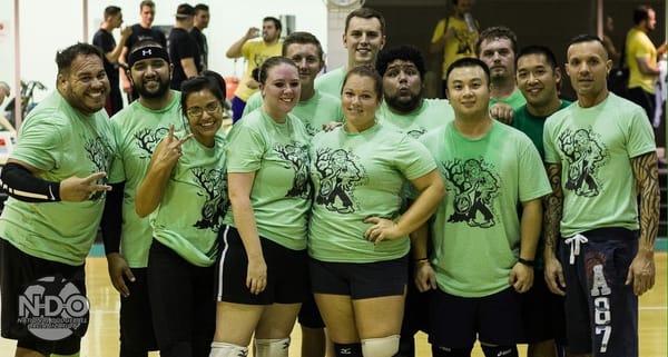 National Dodgeball Organization