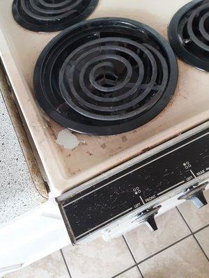 Disgusting stove