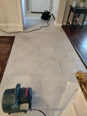 Freshly cleaned Tile & Grout