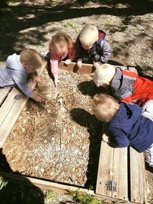 Toddlers looking for bugs