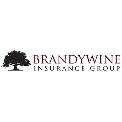 Brandywine Insurance Group