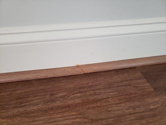 Shoe base molding. The workmanship is least to be desired. This is right a walkway that everyone sees.