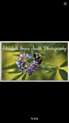 Elizabeth Grace Smith Photography