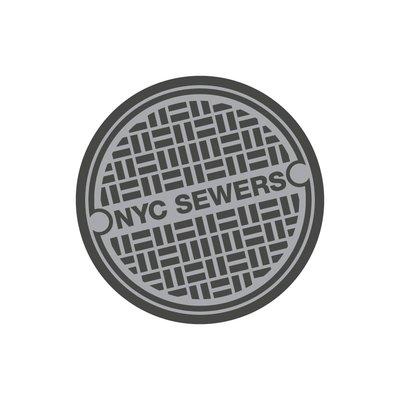 The Sewer Expert